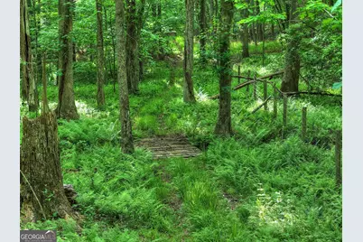 8 Ac McNelley Road, Morganton, GA 30560 - Photo 35