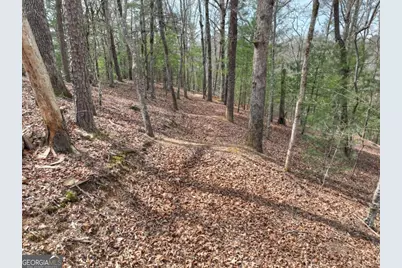 8.52 Ac McNelley Road, Morganton, GA 30560 - Photo 21