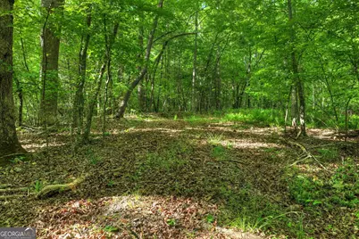 8 Ac McNelley Road, Morganton, GA 30560 - Photo 25