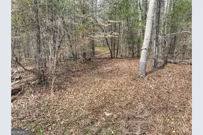 8.52 Ac McNelley Road, Morganton, GA 30560 - Photo 13