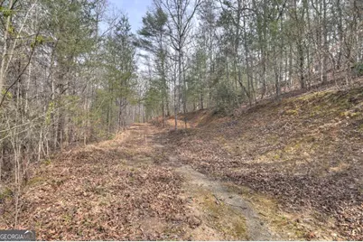 8.52 Ac McNelley Road, Morganton, GA 30560 - Photo 37