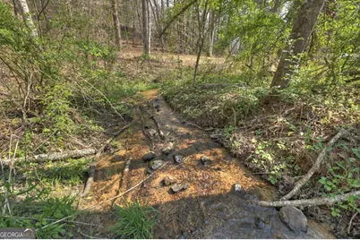 8.52 Ac McNelley Road, Morganton, GA 30560 - Photo 45