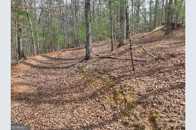 8.52 Ac McNelley Road, Morganton, GA 30560 - Photo 17