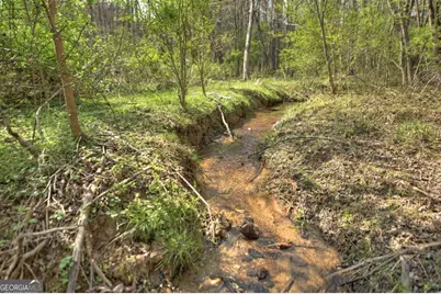 8.52 Ac McNelley Road, Morganton, GA 30560 - Photo 5