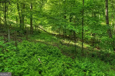 8 Ac McNelley Road, Morganton, GA 30560 - Photo 23