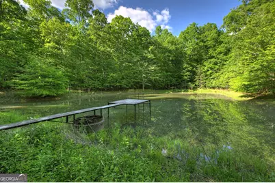 8 Ac McNelley Road, Morganton, GA 30560 - Photo 3