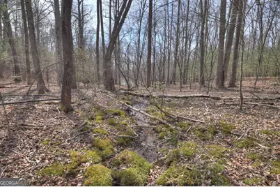 8.52 Ac McNelley Road, Morganton, GA 30560 - Photo 31