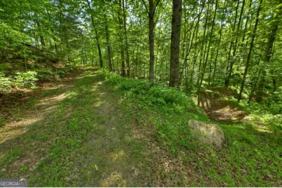 8 Ac McNelley Road, Morganton, GA 30560 - Photo 45