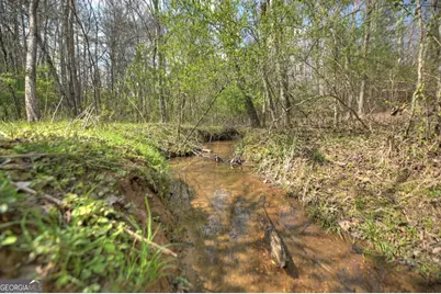 8.52 Ac McNelley Road, Morganton, GA 30560 - Photo 47