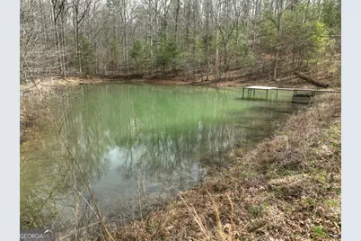 8.52 Ac McNelley Road, Morganton, GA 30560 - Photo 15