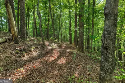 8 Ac McNelley Road, Morganton, GA 30560 - Photo 37