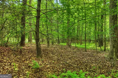 8 Ac McNelley Road, Morganton, GA 30560 - Photo 41