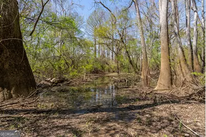 1102 Three Rivers Lane, Uvalda, GA 30473 - Photo 13