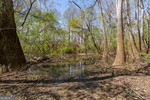 1102 Three Rivers Ln, Uvalda, GA 30473 - Photo 13