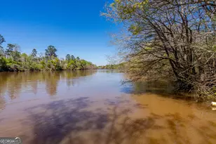 1102 Three Rivers Ln, Uvalda, GA 30473 - Photo 23