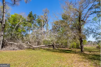 1102 Three Rivers Lane, Uvalda, GA 30473 - Photo 19