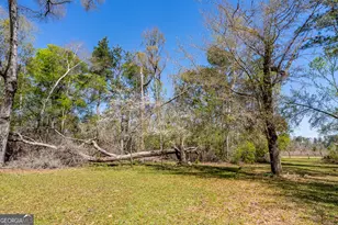 1102 Three Rivers Ln, Uvalda, GA 30473 - Photo 19