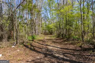 1102 Three Rivers Ln, Uvalda, GA 30473 - Photo 17