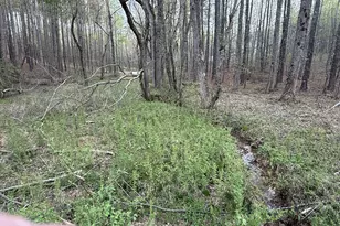 0 Henderson Mountain Rd, Fairmount, GA 30139 - Photo 1