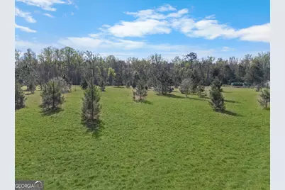 0 Old Louisville Road, Guyton, GA 31312 - Photo 7