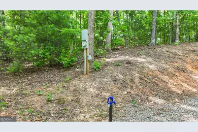 103 Hibiscus Lane, Blue Ridge, GA 30513 - Photo 3