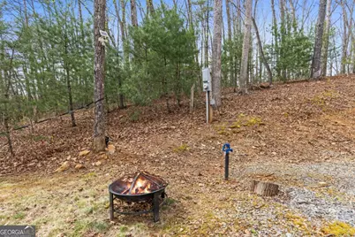 103 Hibiscus Lane, Blue Ridge, GA 30513 - Photo 23
