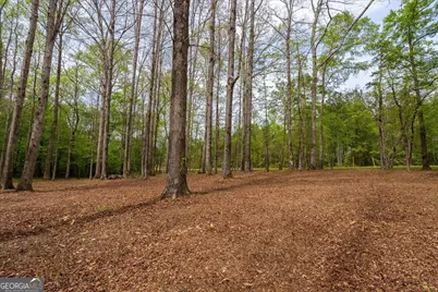 87 Wildwood Drive, Temple, GA 30179 - Photo 23