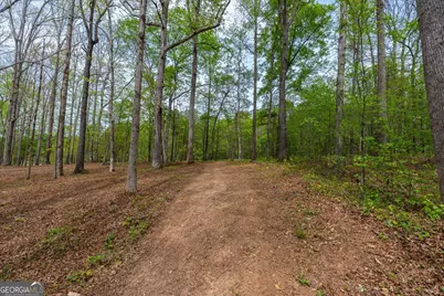 87 Wildwood Drive, Temple, GA 30179 - Photo 21