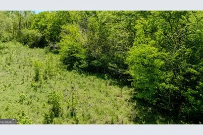 0 Mountain Creek Way, Newnan, GA 30263 - Photo 9