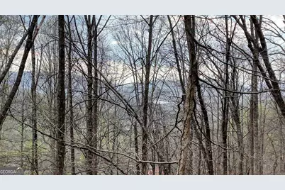 2900 Gribble Edwards Road, Hayesville, NC 28904 - Photo 39