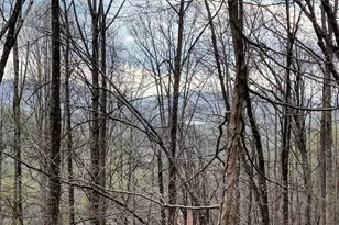 2900 Gribble Edwards Road, Hayesville, NC 28904 - Photo 39