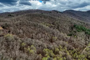 2900 Gribble Edwards Road, Hayesville, NC 28904 - Photo 47