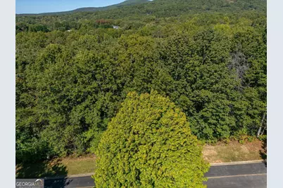 0 Plum Lane, Clarkesville, GA 30523 - Photo 5