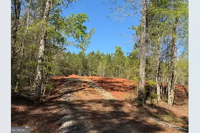 0 Andrews Chapel Road, Thomaston, GA 30286 - Photo 5
