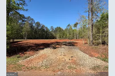 0 Andrews Chapel Road, Thomaston, GA 30286 - Photo 3