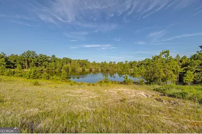 254 Satilla Sands Drive, Waynesville, GA 31566 - Photo 5