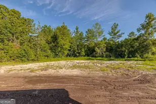 254 Satilla Sands Dr, Waynesville, GA 31566 - Photo 29