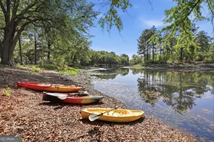 209 Long Pine Dr, Leesburg, GA 31763 - Photo 41