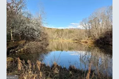 1565 Shoal Creek Road NW, Clermont, GA 30527 - Photo 3