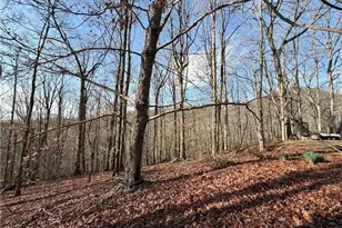 1565 Shoal Creek Road NW, Clermont, GA 30527 - Photo 13