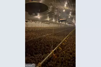 0 Joan Smith Road, Hull, GA 30646 - Photo 21