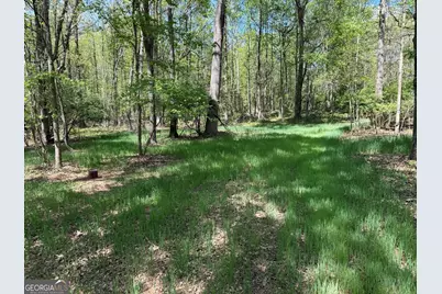 0 Panhandler Circle #(2C), Maysville, GA 30558 - Photo 5