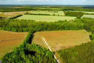 0 Siesta Ln (Lot 3), Statesboro, GA 30458 - Photo 1