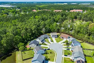 13 Rolling Springs Ln, Pooler, GA 31322 - Photo 53