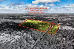 19 74 Acres Davis Lake Rd, Pine Mountain, GA 31822 - Photo 1