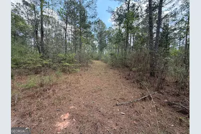 19.74 Acres Davis Lake Road, Pine Mountain, GA 31822 - Photo 15