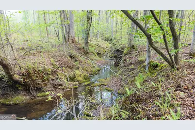 19.74 Acres Davis Lake Road, Pine Mountain, GA 31822 - Photo 25