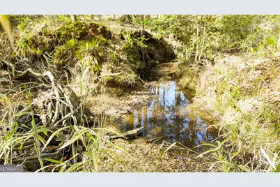 19.74 Acres Davis Lake Road, Pine Mountain, GA 31822 - Photo 33