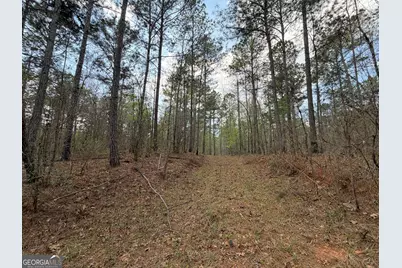 19.74 Acres Davis Lake Road, Pine Mountain, GA 31822 - Photo 1