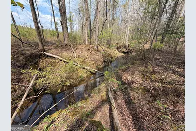 19.74 Acres Davis Lake Road, Pine Mountain, GA 31822 - Photo 11